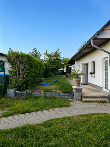 Gartenbereich mit Haus, Grünfläche, Zaun, Pflanzen und einem kleinen blauen Planschbecken.