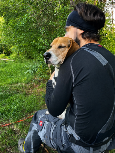 Eine unkenntlich gemachte Person hält einen Beagle im Arm in einem grünen Wald- und Wiesenbereich.